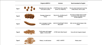 the modified bristol stool form scale