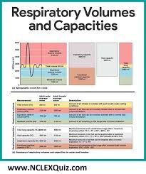 Summary Of Respiratory Volume And Capacity For Males And