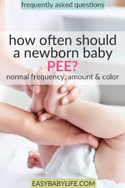 How Often Should A Newborn Pee Amount Frequency Color