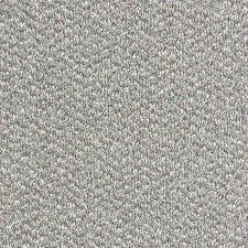 stainfree tweed in c carpet