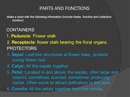 Reproduction In Flowers Ppt Video Online Download