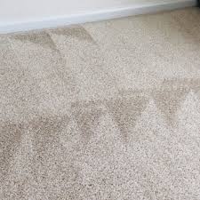 extremely clean carpets services 14