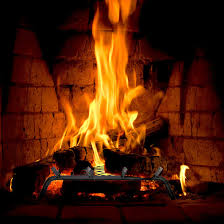 Panacea 4 Bar Fireplace Grate 18