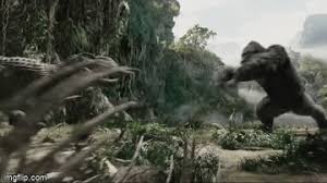 Последние твиты от godzilla vs. Godzilla Vs Kong Release Date Cast Overview