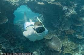 Adam peaty, havuzda harikalar yaratmaya devam ediyor. Adam Peaty Dives With Turtles At Great Barrier Reef After Commonwealth Games Daily Mail Online
