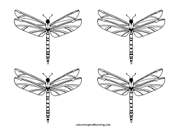 In the spiritual totem, the dragonfly symbolizes transformation. Best Free Insect Printables And Activities For Kids