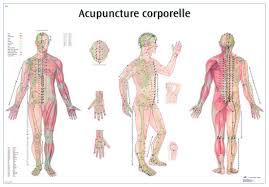 Acupuncture Point Wall Chart English