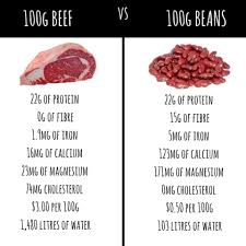 100g Of Beef Vs 100g Of Beans Vegan