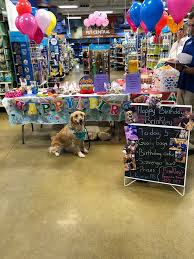 Celebrate your pup's birthday with a homemade cake that will make tails wag! Petsmart We Want To Wish A Special Happy Birthday To Facebook