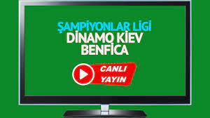 CANLI İZLE! Dinamo Kiev Benfica TV8,5 EXXEN şifresiz canlı maç izle
