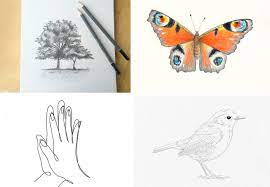 25 easy drawings for when you re