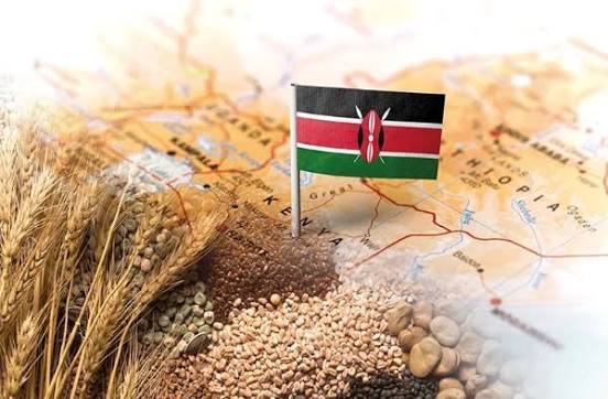 Kenya AfCFTA Initiative