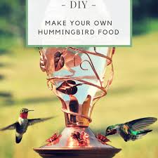 recipe for hummingbird food