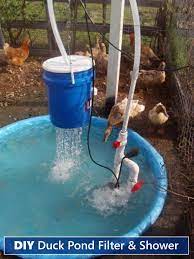 Diy Duck Pond Filter Shower