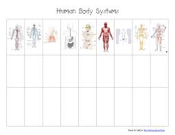 Human Body Systems Chart Pdf Google Drive Human Body