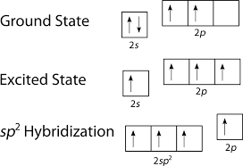 Hybridization Of Atomic Orbitals Ck 12 Foundation