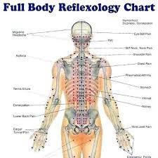 Foot Pressure Points Online Charts Collection