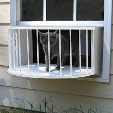 Cat Solarium Cat Window Cat Perch