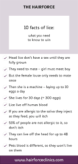 a head lice information guide for