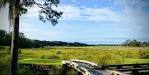 Low Country Beauty at Sapelo Hammock- By Dave Daubert