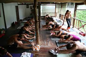 services the yoga reatreat koh phangan