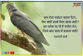 mahadevi verma famous poem in hindi
