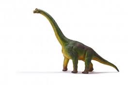 Brachiosaurus L