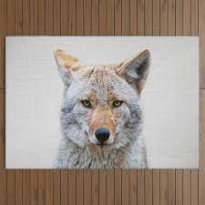 coyote colorful outdoor rug by gal
