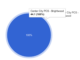 Why Does My Pie Chart Only Show 1 Out Of Multiple Fields