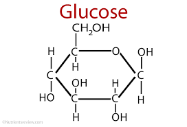 a monosaccharide glucose foods