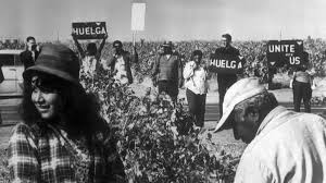 When Millions of Americans Stopped Eating Grapes in Support of Farm Workers  - HISTORY
