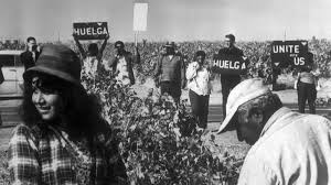 When Millions of Americans Stopped Eating Grapes in Support of Farm Workers - HISTORY