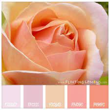 Dusty brown, brick color, brown colour, dark pink, delicate pink, delicate shades of. Colour Inspiration Pink Peach Rose Hues