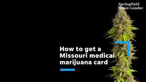 We did not find results for: Missouri Medical Marijuana Cards Where To Get A Doctor S Recommendation In Springfield