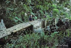 The Plane Wreckage Images?q=tbn:ANd9GcTf81r0psER3EKRPCOEnCmG35CghQGbYMldwNUhmJWx1Mue5uQs8w
