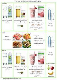 Best Diet Plan Malaysia In 2019 Herbalife Recipes