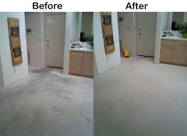 citrus cleaner additive for carpet