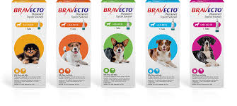 Flea Tick Treatment For Dogs Bravecto Fluralaner