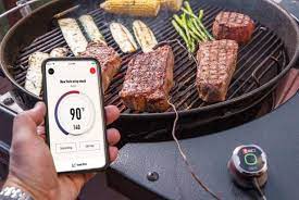 6 best meat thermometers for smoker