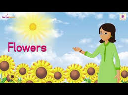 flowers nursery rhyme for children