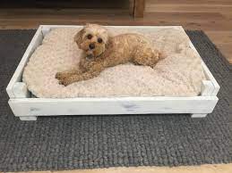 dog bed on feet raised off floor