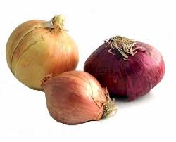 Onions Substitutes Ingredients Equivalents Gourmetsleuth