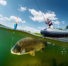 Anglers can expect an average 0.58 bass per hour and a lot of big fish. 6 Favorite Local Fishing Spots Near Hamburg Pa Manderbach Ford Blog