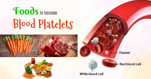 10 Foods You Should Eat To Increase Blood Platelets Count