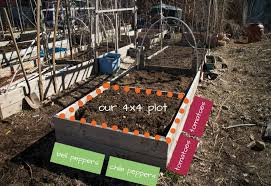 4x4 Garden Plan Let S Grow 100 Pounds