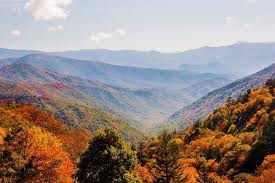 Your Ultimate Guide to Visiting the Smoky Mountains in the Fall