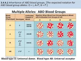 Blood Type Inheritance Chart Fresh Blood Type Chart