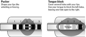 Harmonica For Dummies Cheat Sheet Dummies