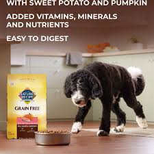 pumpkin recipe dry dog food