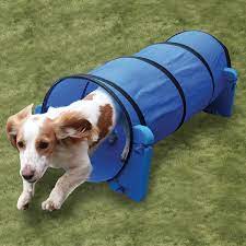 small dog tunnel rosewood pet